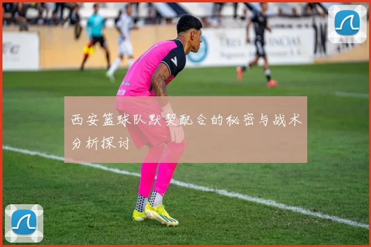 西安篮球队默契配合的秘密与战术分析探讨