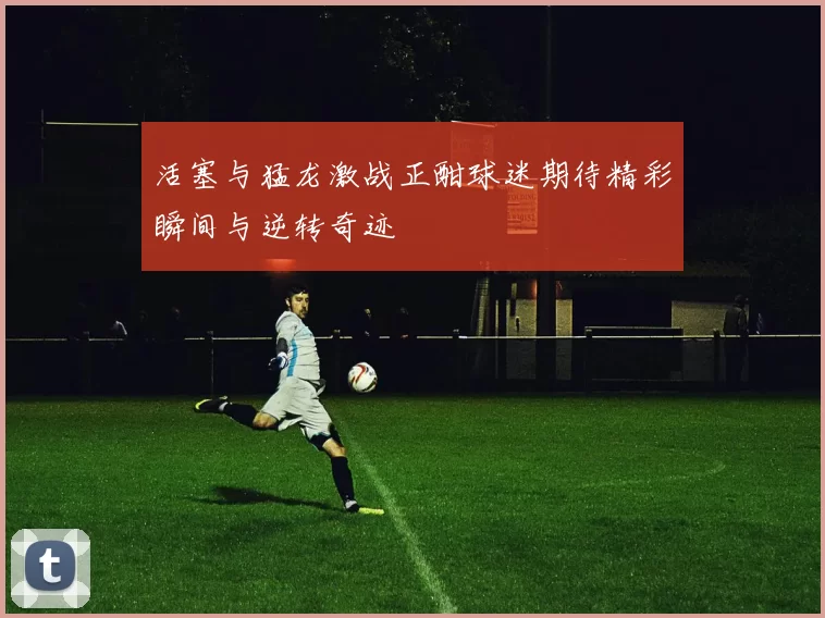活塞与猛龙激战正酣球迷期待精彩瞬间与逆转奇迹