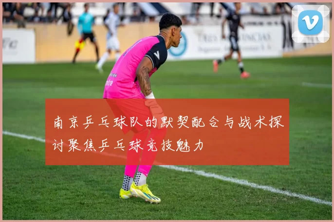 南京乒乓球队的默契配合与战术探讨聚焦乒乓球竞技魅力