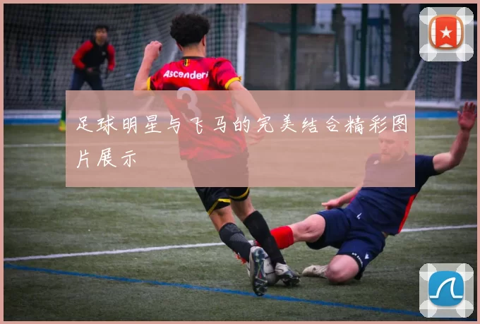 足球明星与飞马的完美结合精彩图片展示