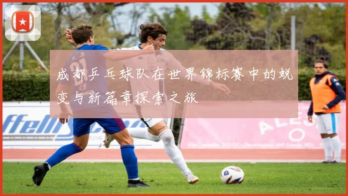 成都乒乓球队在世界锦标赛中的蜕变与新篇章探索之旅