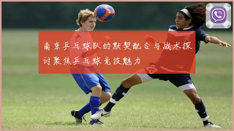 南京乒乓球队的默契配合与战术探讨聚焦乒乓球竞技魅力