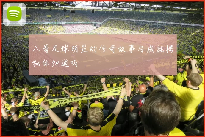 八哥足球明星的传奇故事与成就揭秘你知道吗