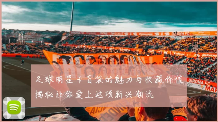足球明星卡盲袋的魅力与收藏价值揭秘让你爱上这项新兴潮流