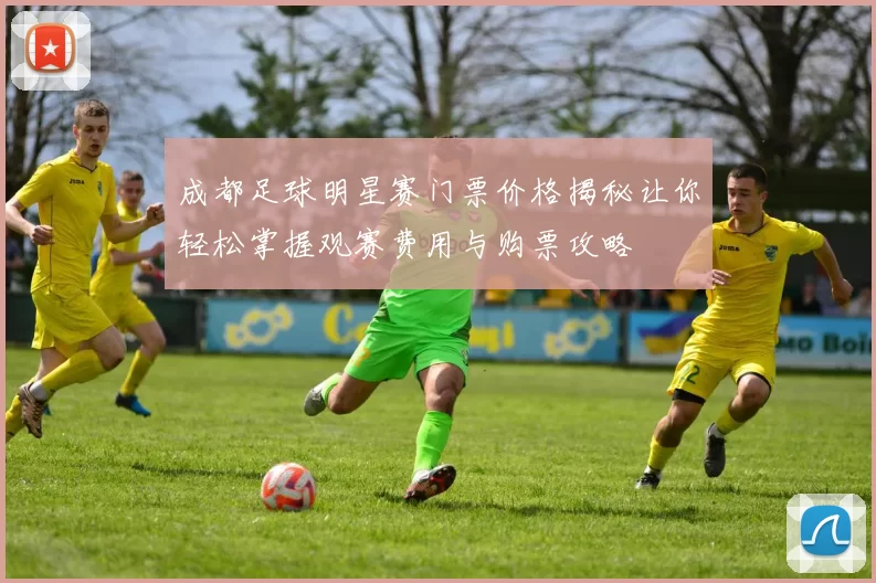 成都足球明星赛门票价格揭秘让你轻松掌握观赛费用与购票攻略
