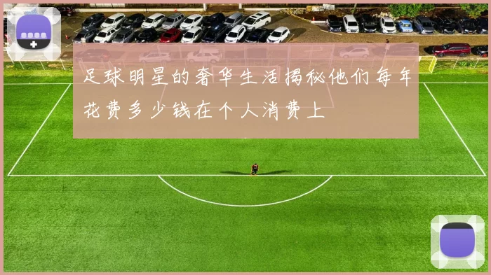 足球明星的奢华生活揭秘他们每年花费多少钱在个人消费上