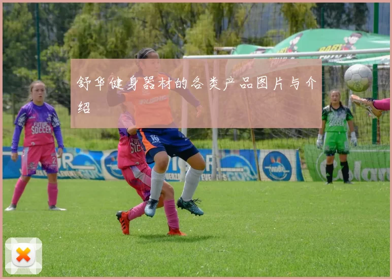 舒华健身器材的各类产品图片与介绍