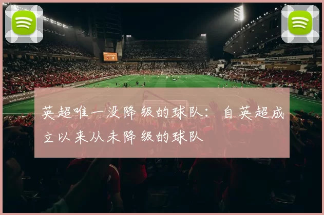 英超唯一没降级的球队：自英超成立以来从未降级的球队