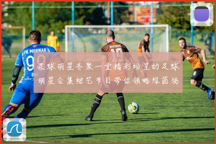 足球明星齐聚一堂精彩纷呈的足球明星合集综艺节目带你领略绿茵场上的魅力与激情