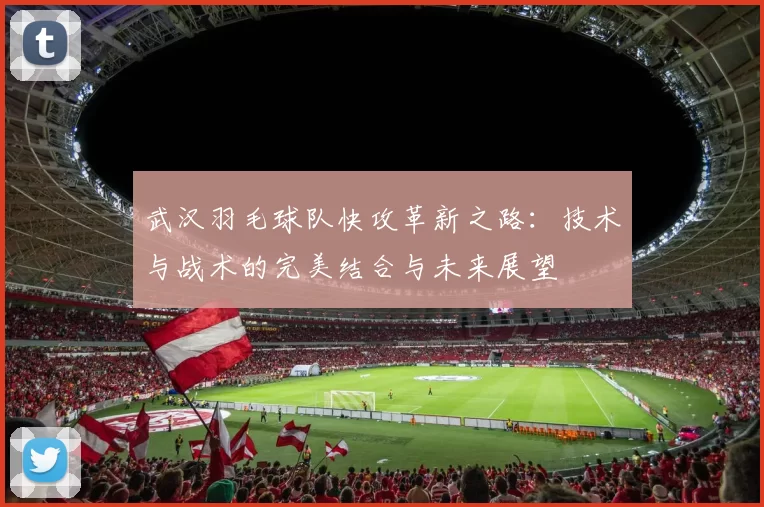 武汉羽毛球队快攻革新之路：技术与战术的完美结合与未来展望