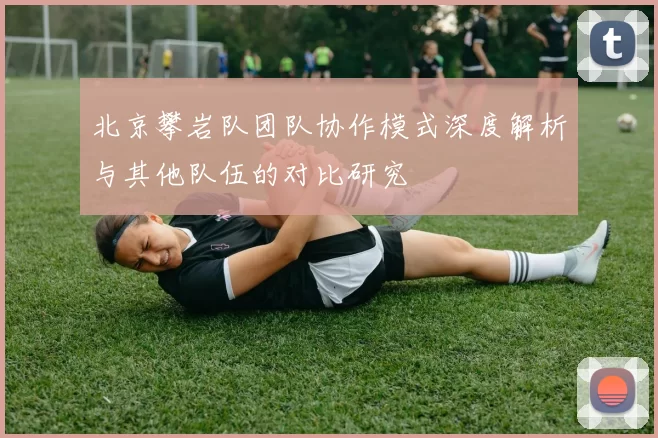 北京攀岩队团队协作模式深度解析与其他队伍的对比研究