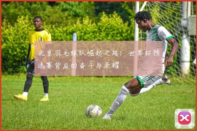 北京羽毛球队崛起之路：世界杯预选赛背后的奋斗与荣耀
