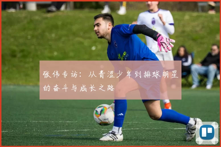 张伟专访：从青涩少年到排球明星的奋斗与成长之路