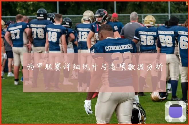 西甲联赛详细统计与各项数据分析